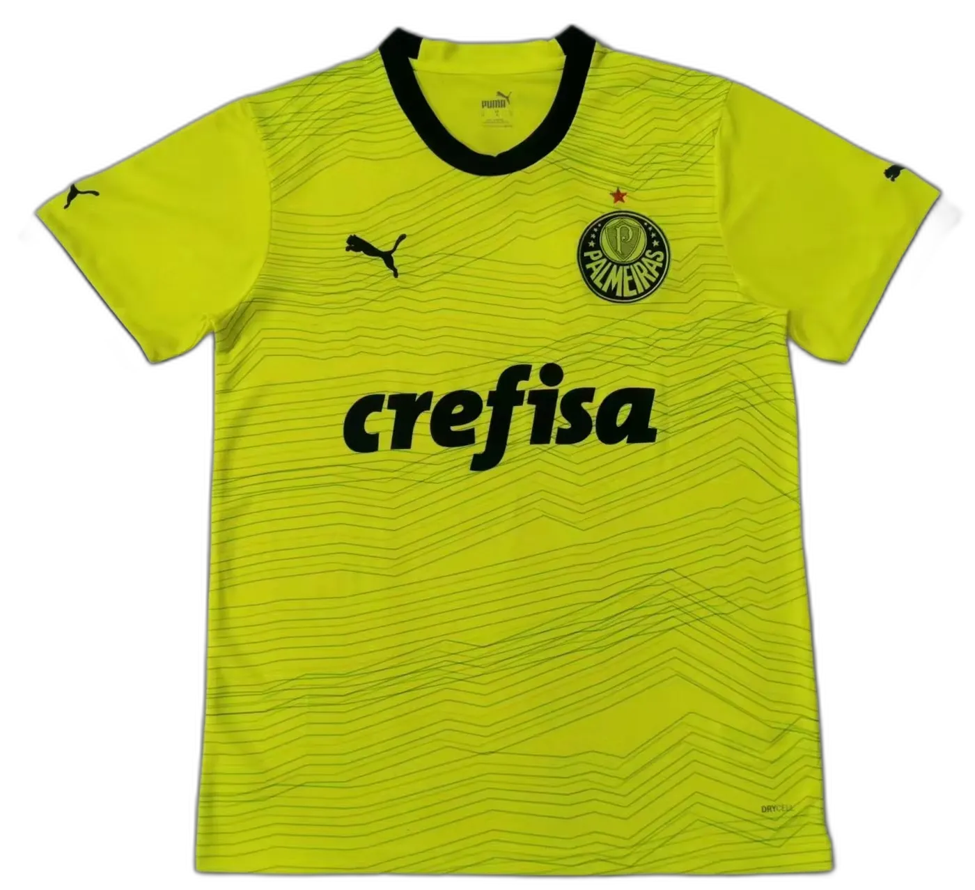 Palmeiras